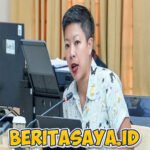 PSI Tolak Rencana Wisata Pulau Kucing di Kepulauan Seribu: Dinilai Mengganggu Ekosistem