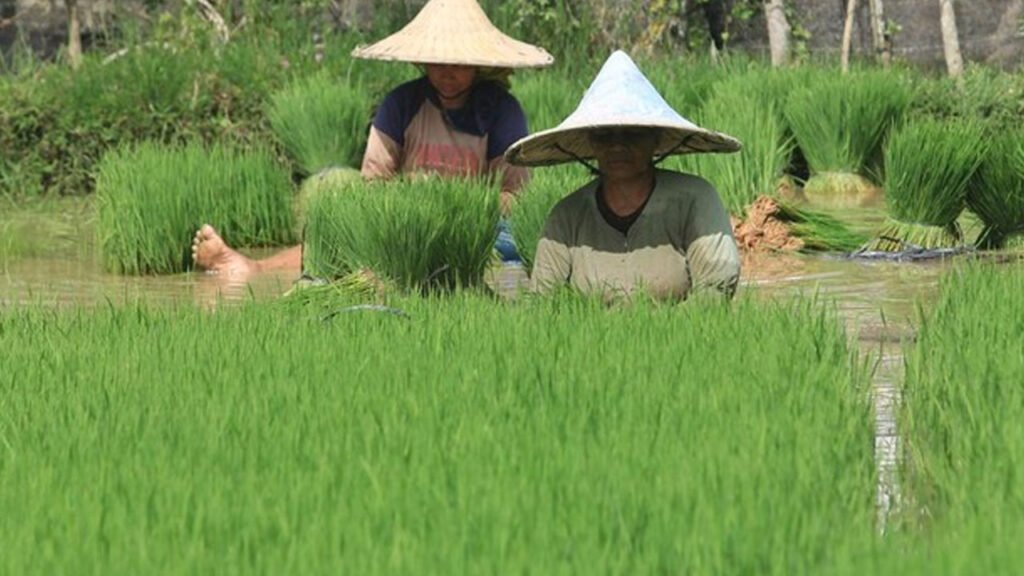 Hambatan Baru Perdagangan Pertanian